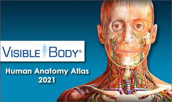 visual body human anatomy atlas